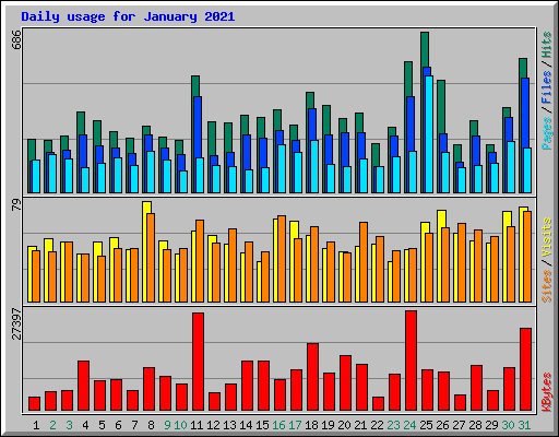 Daily usage for January 2021