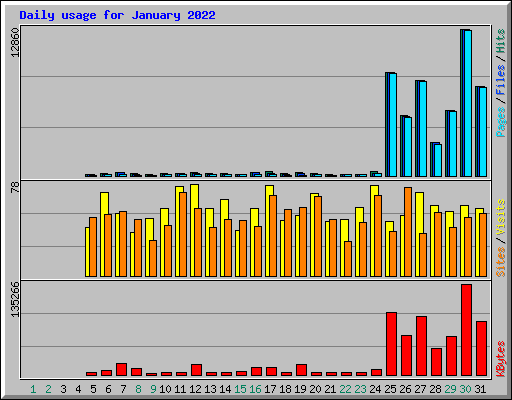 Daily usage for January 2022