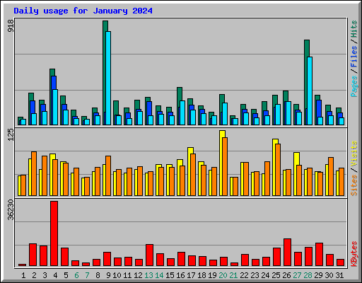 Daily usage for January 2024