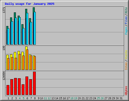 Daily usage for January 2025