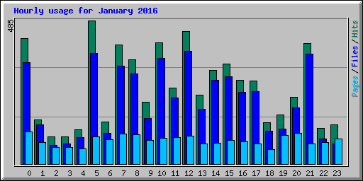 Hourly usage for January 2016