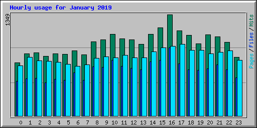 Hourly usage for January 2019