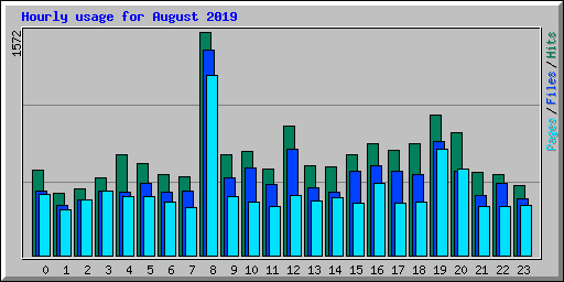 Hourly usage for August 2019