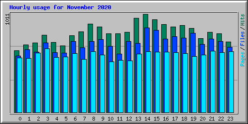 Hourly usage for November 2020