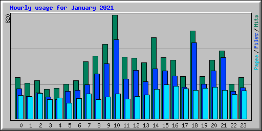 Hourly usage for January 2021