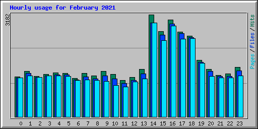 Hourly usage for February 2021