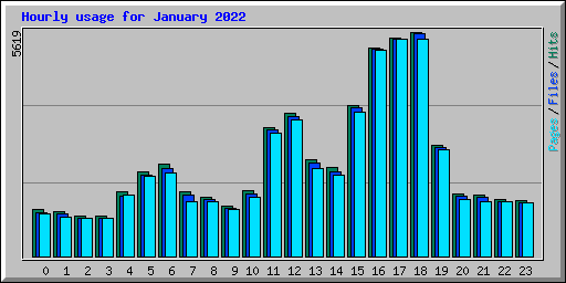 Hourly usage for January 2022