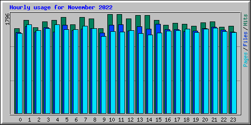 Hourly usage for November 2022