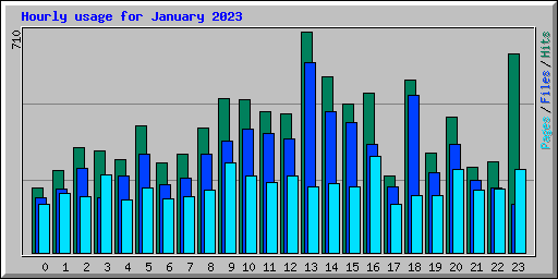 Hourly usage for January 2023