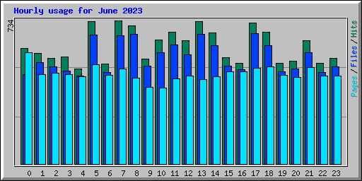 Hourly usage for June 2023