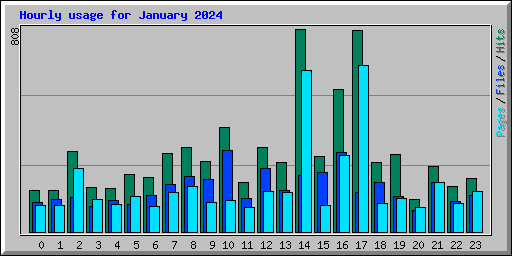 Hourly usage for January 2024