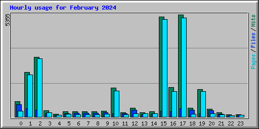 Hourly usage for February 2024