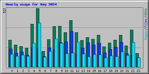 Hourly usage for May 2024