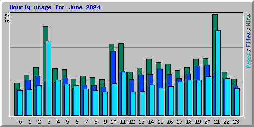 Hourly usage for June 2024