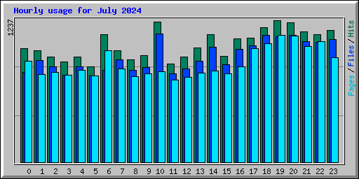 Hourly usage for July 2024