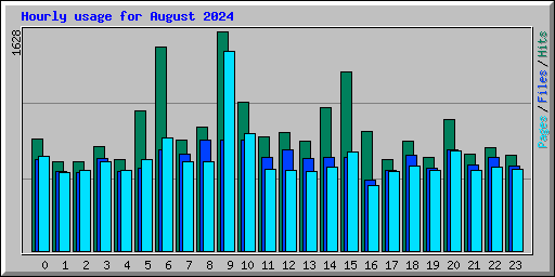 Hourly usage for August 2024