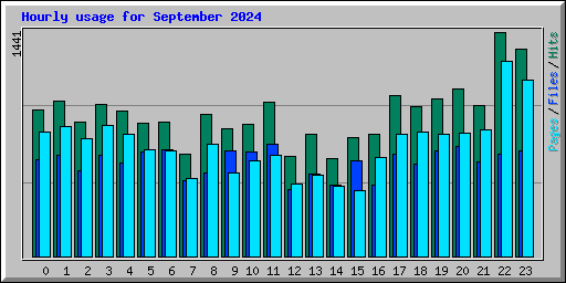 Hourly usage for September 2024