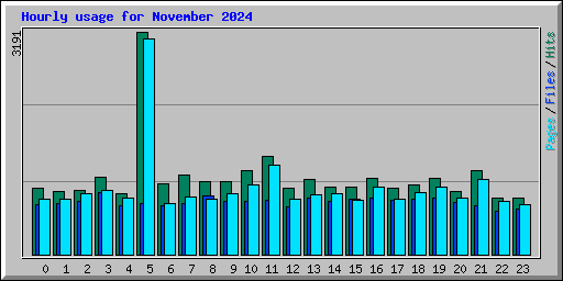 Hourly usage for November 2024