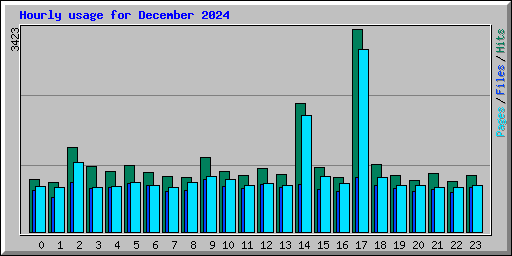 Hourly usage for December 2024