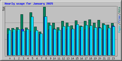 Hourly usage for January 2025