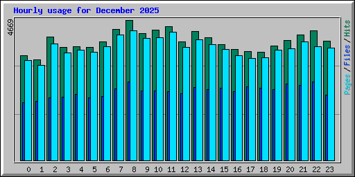 Hourly usage for December 2025